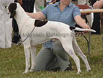 4th Open Dog